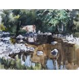 CATTLE BY A RIVER by Tom Nisbet