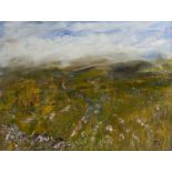 WEST WICKLOW LANDSCAPE - SOURCE OF THE RIVER LIFFEY by Geraldine Hone