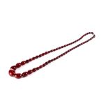 AN EDWARDIAN GRADUATED STRING OF POLISHED RED AMBER BEADS, 28 ins long, approximately 52.5 grams.