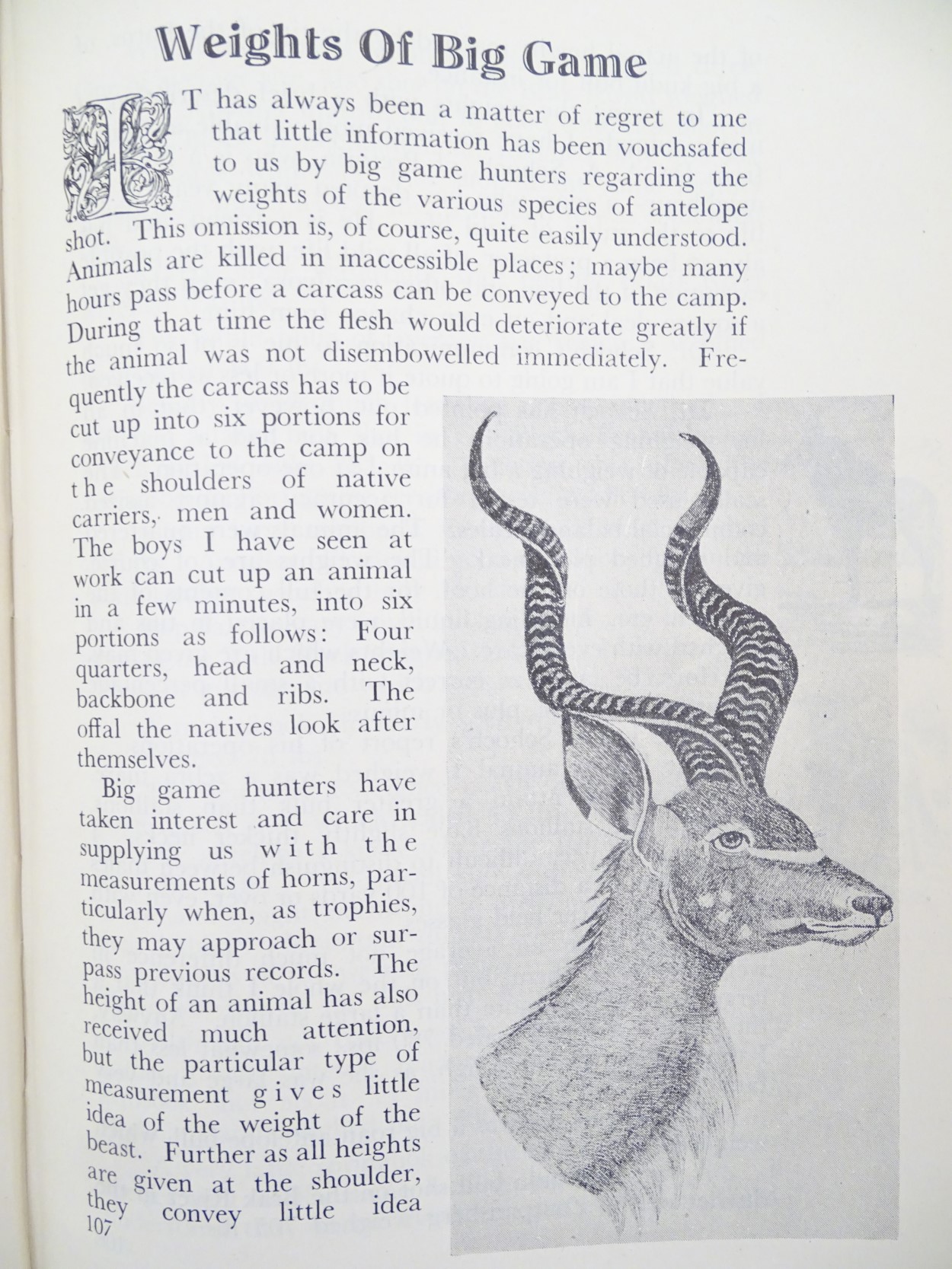 Book: 'The Call of the Bushveld' by A. C. White, published by A. C. White P. & P. Co. Ltd. - Image 5 of 6