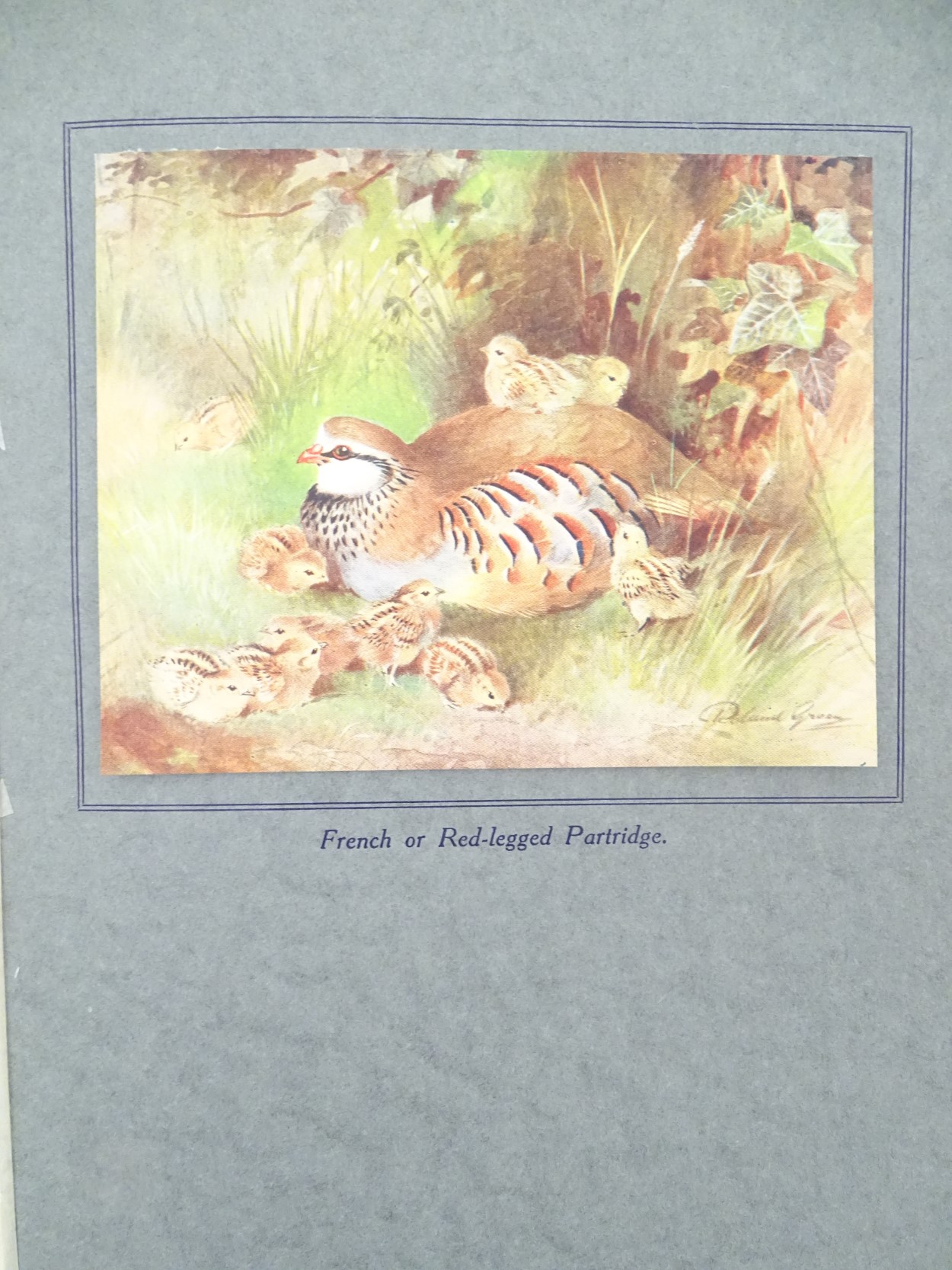 Books: 'The Fox and the Orchard' by Robin Page, published by Quiller Press, London, - Image 2 of 6