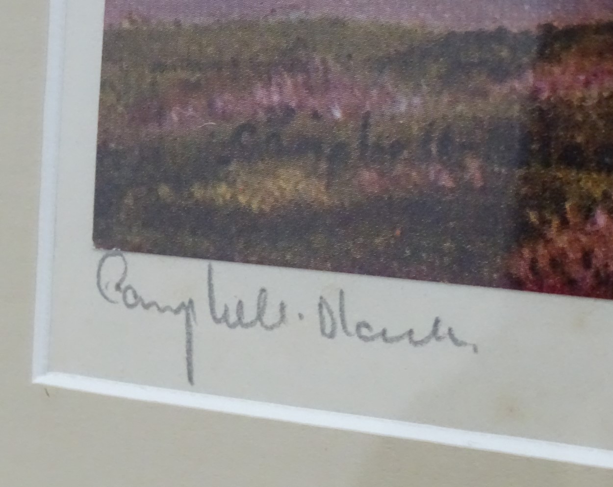Geoffrey Campbell Black (XX), Signed coloured print, Gamebirds, Grouse flying over heather, - Image 2 of 6