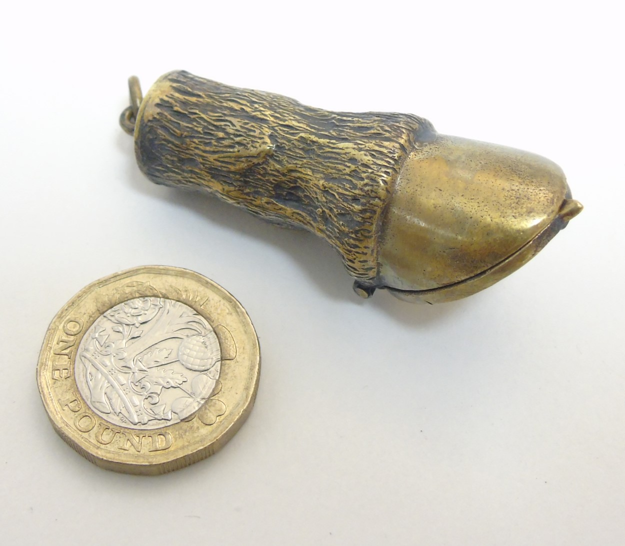 A brass vesta case in the form of a horses lower leg and hoof.