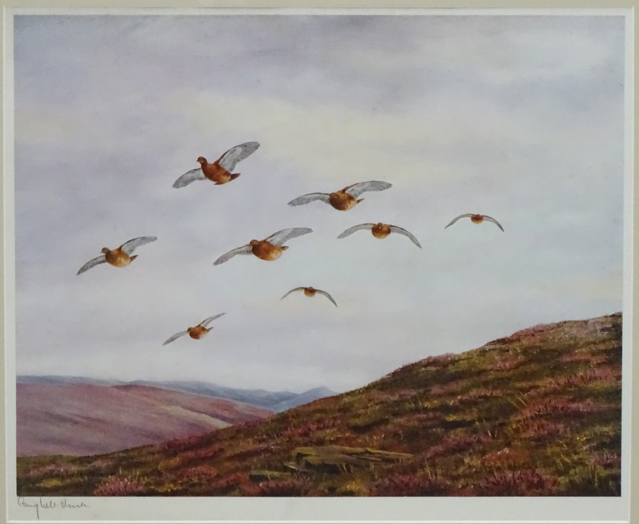 Geoffrey Campbell Black (XX), Signed coloured print, Gamebirds, Grouse flying over heather, - Image 4 of 6