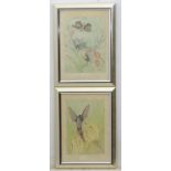 Stirling '77, Aquatints, a pair, Hummingbird and flower, & Butterflies and flowers,