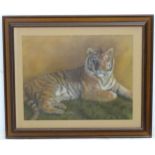 Anna Maria Smith, XX, Pastel, 'Lazy Afternoon', portrait of a recumbent big cat (tiger),