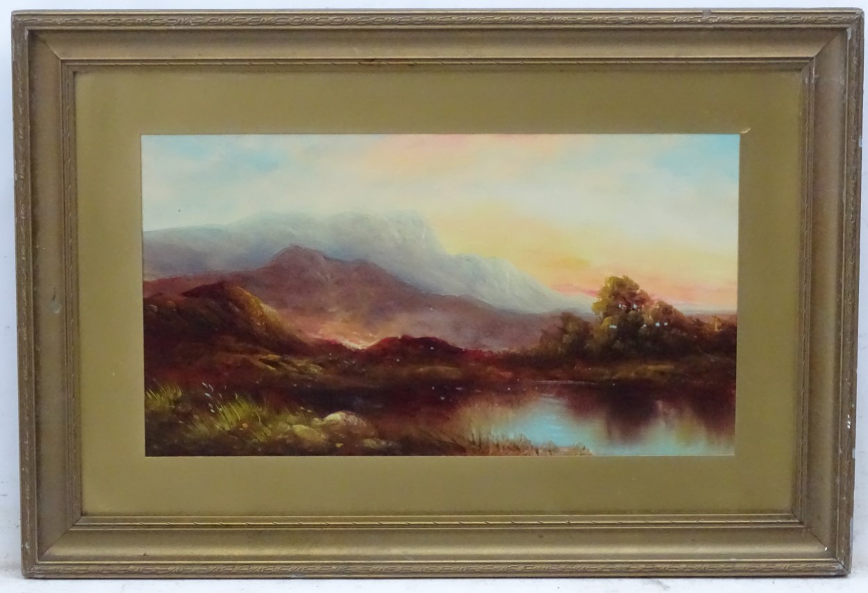 Indistinctly signed, Early XX, Scottish School, Oil on board, Lake in the Highlands.