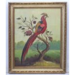 XIX, Ornithological School, Oil on canvas laid on panel, circa 1870, An exotic pheasant.