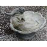 A greyed fiber glass antique style garden fountain with a Georgian dolphin and scallop shaped pool ,