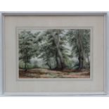 J. Simms Roos, XX, Watercolour, Through the woods, Signed lower left.