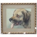 Alfred William Strutt (1856-1924), Canine School, Watercolour, Head of a Mastiff dog,