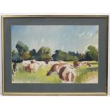 Hal Yates, (19) 64, Watercolour, Ayrshire dairy cows in a field, Signed lower right.