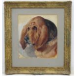 Alfred William Strutt (1854-1924), Canine School, Oil on board, Head of a Bloodhound dog,