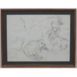 Cats: pencil drawings of Persian cats in a mount and wooden frame.