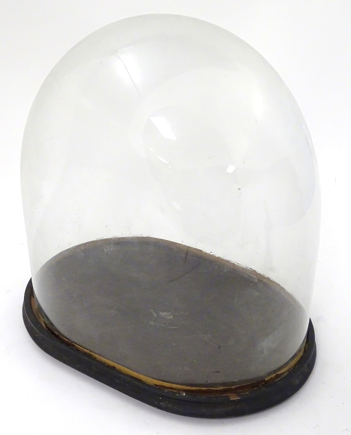 Glass dome : a Victorian glass taxidermy dome with ebonised base /socle, - Image 7 of 8