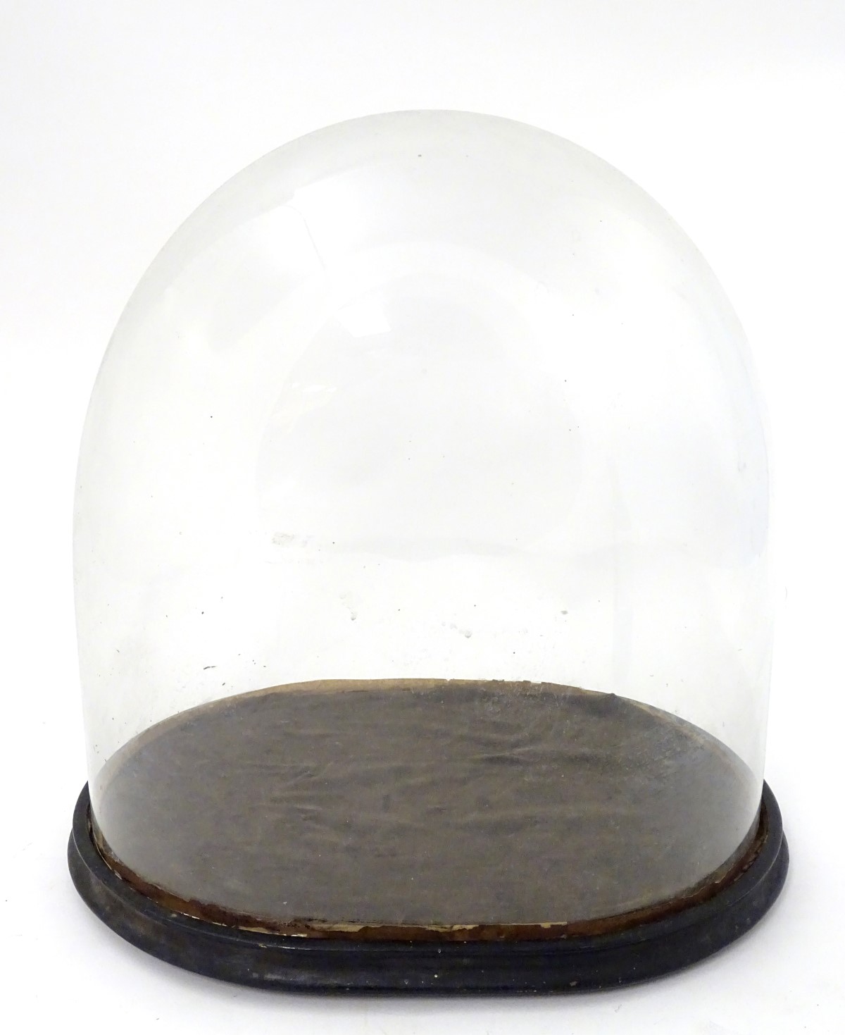 Glass dome : a Victorian glass taxidermy dome with ebonised base /socle, - Image 4 of 8