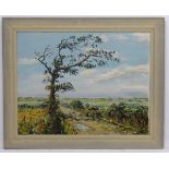 Colin Spring XX, Oil on canvas board, The old oak tree before the dunes, Signed lower right ,