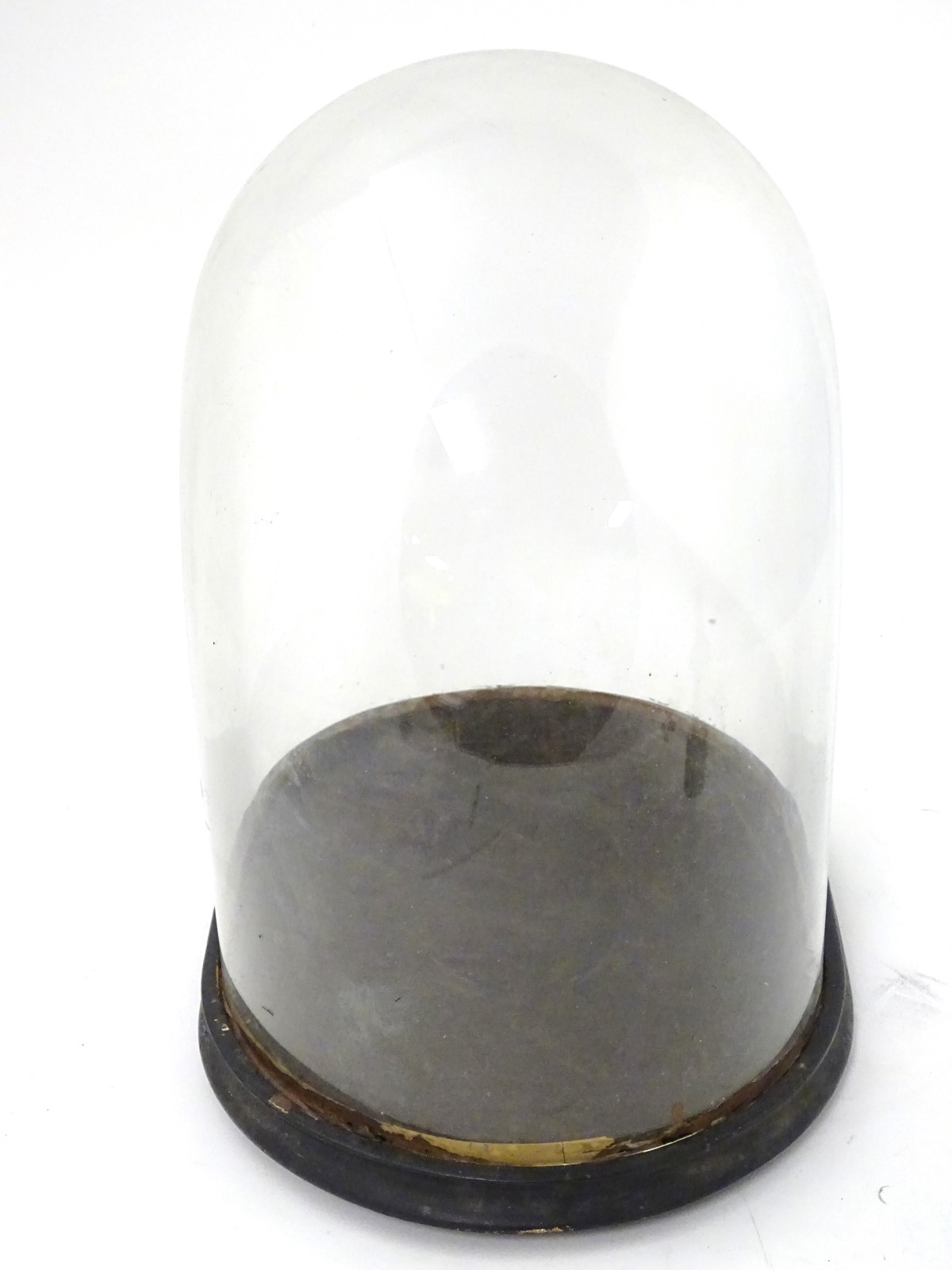 Glass dome : a Victorian glass taxidermy dome with ebonised base /socle, - Image 6 of 8