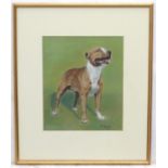 A Wardle XX, Canine School, Pastels, A brindle Staffordshire Terrier dog, Signed lower right.