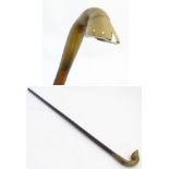 Walking Stick : a horseshoe walking stick, the handle formed as a horse's hoof (from cow horn).