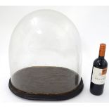 Glass dome : a Victorian glass taxidermy dome with ebonised base /socle,