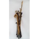 A collection walking sticks to include a malacca shafted cane and others CONDITION: