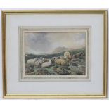 F W Keyl (1823-1871), German, Watercolour, Sheep on a hill side, Signed lower left.