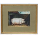 XX, Continental School, Oil on canvas laid on board, Portrait of a Pig.