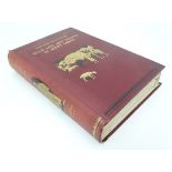 Book: From North Pole to Equator: Studies of Wild Life and Scenes in Many Lands,