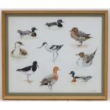 Alan Isaac, XX, Watercolour, Nine waterbirds and waders - Tufted Duck, Mallard, Teal, Little Grebe,