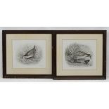 After Lilian Marguerite Medland (1880-1955), Monochrome plate prints, a pair, Corncrake.