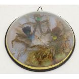 Taxidermy: a glass convex wall mounted cased diorama of humming birds. 10" diameter.