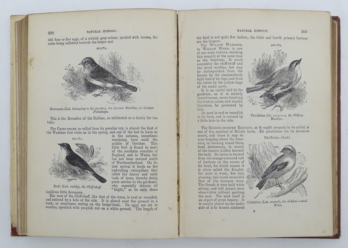 Wood's Illustrated Natural History, by Rev. J. G. - Image 2 of 5