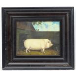 J Box, XX, Oil on canvas laid on board, Portrait of a favourite pig, Signed lower right.