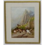 R Thornton, XIX-XX, Watercolour, gouache and Gum Arabic, Goats on a mountainous hillside,