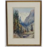 'GMD', early XX, Alpine School, Watercolour, Trees lining a ravine in the mountains,