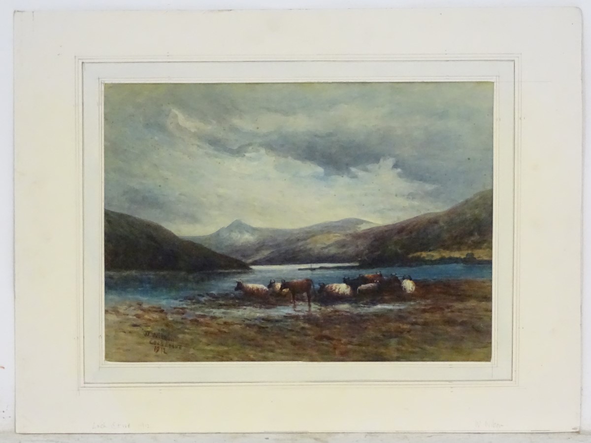 W Wilson, XIX-XX, Scottish School, Watercolour, Cattle about to drink at 'Loch Etive 1912', Signed,