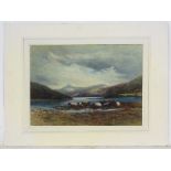 W Wilson, XIX-XX, Scottish School, Watercolour, Cattle about to drink at 'Loch Etive 1912', Signed,