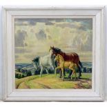 **WITHDRAWN FROM AUCTION** Harold Dearden Sept 1955 Equine School.