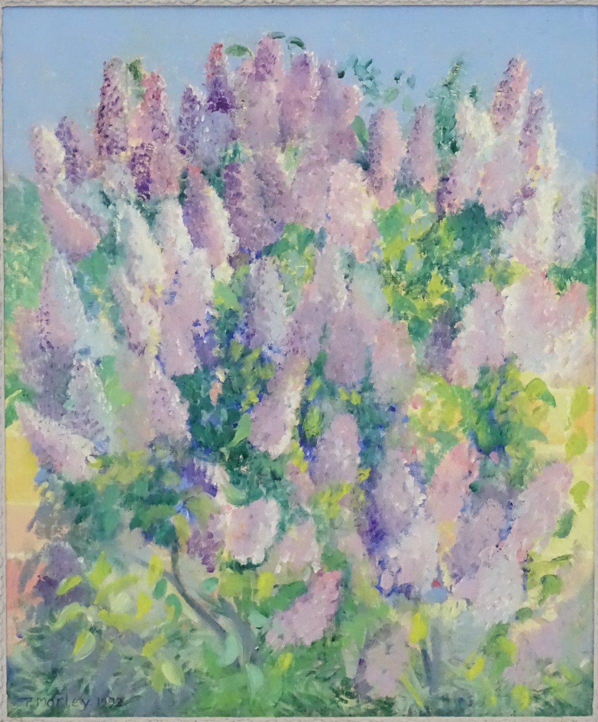 P Morley, 1992, Oil on canvas, A lupin bush, Signed and dated lower left. - Image 12 of 12