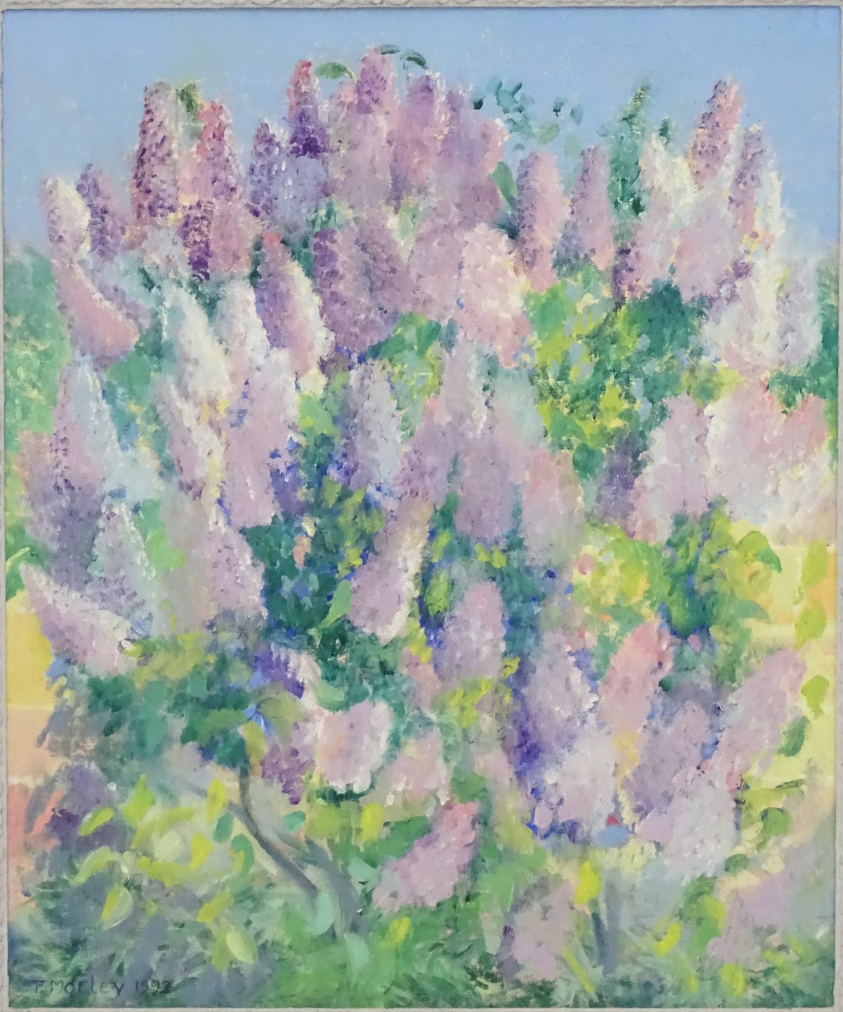 P Morley, 1992, Oil on canvas, A lupin bush, Signed and dated lower left. - Image 11 of 12