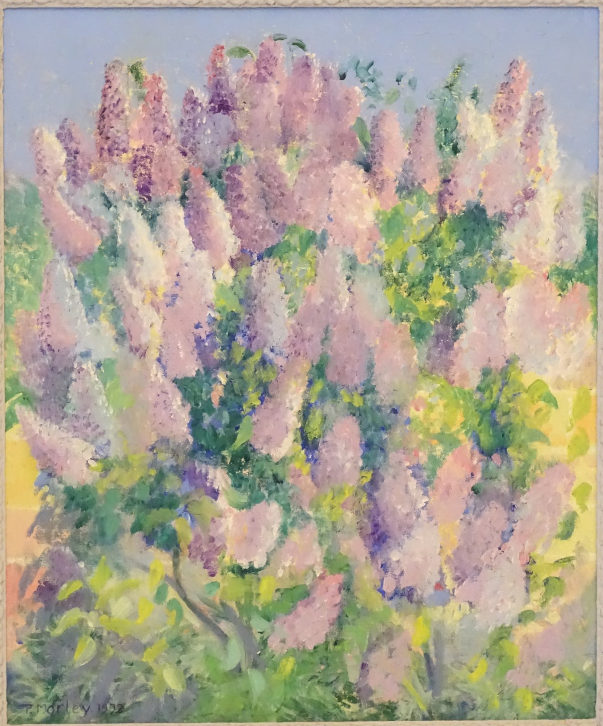 P Morley, 1992, Oil on canvas, A lupin bush, Signed and dated lower left. - Image 9 of 12