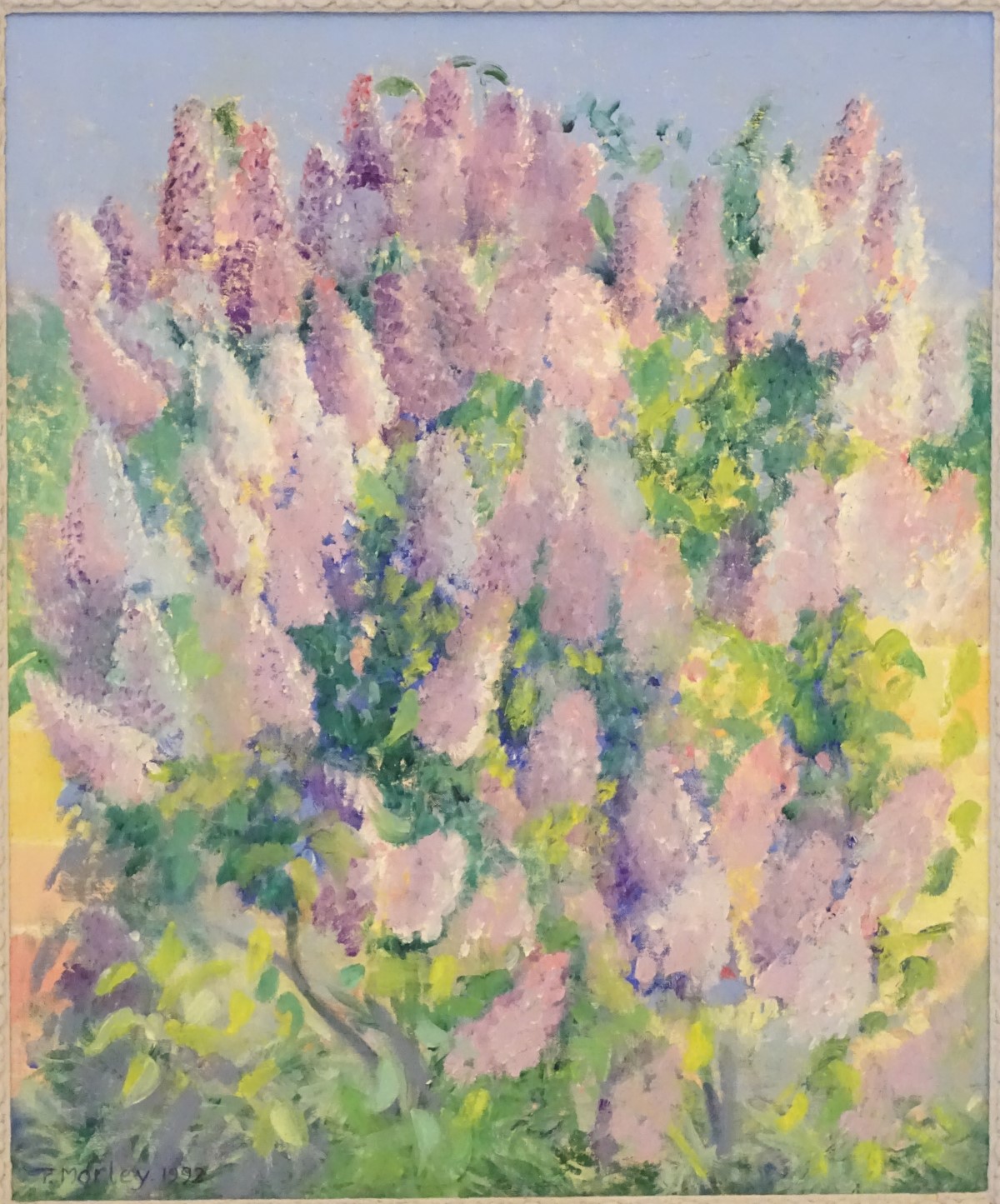 P Morley, 1992, Oil on canvas, A lupin bush, Signed and dated lower left. - Image 8 of 12