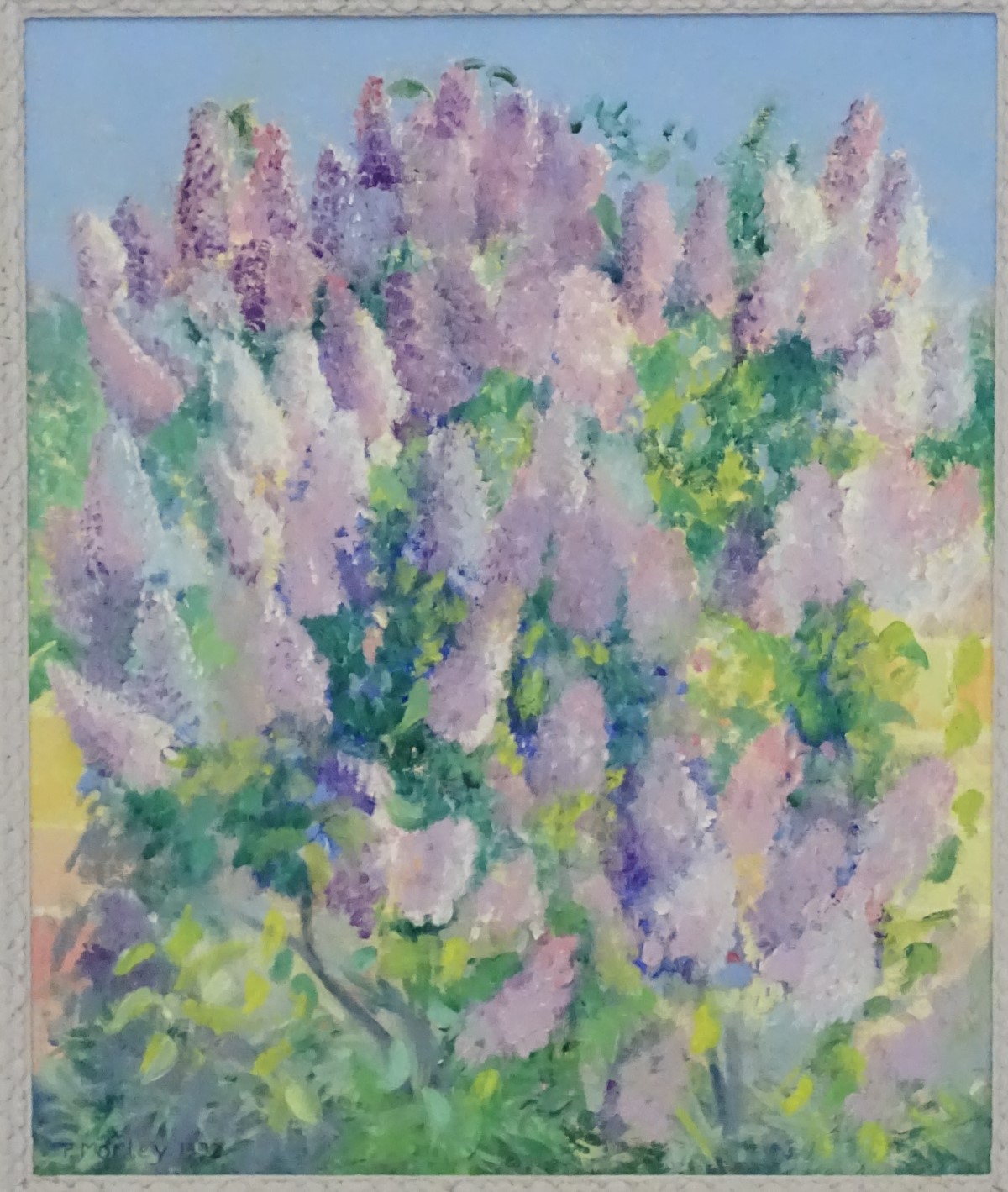 P Morley, 1992, Oil on canvas, A lupin bush, Signed and dated lower left. - Image 10 of 12