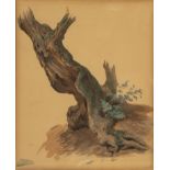 Alfred Jacques van Muyden (1818-1898), "Tronc d'arbre" Aquarelle sur papier mon AvM [...]