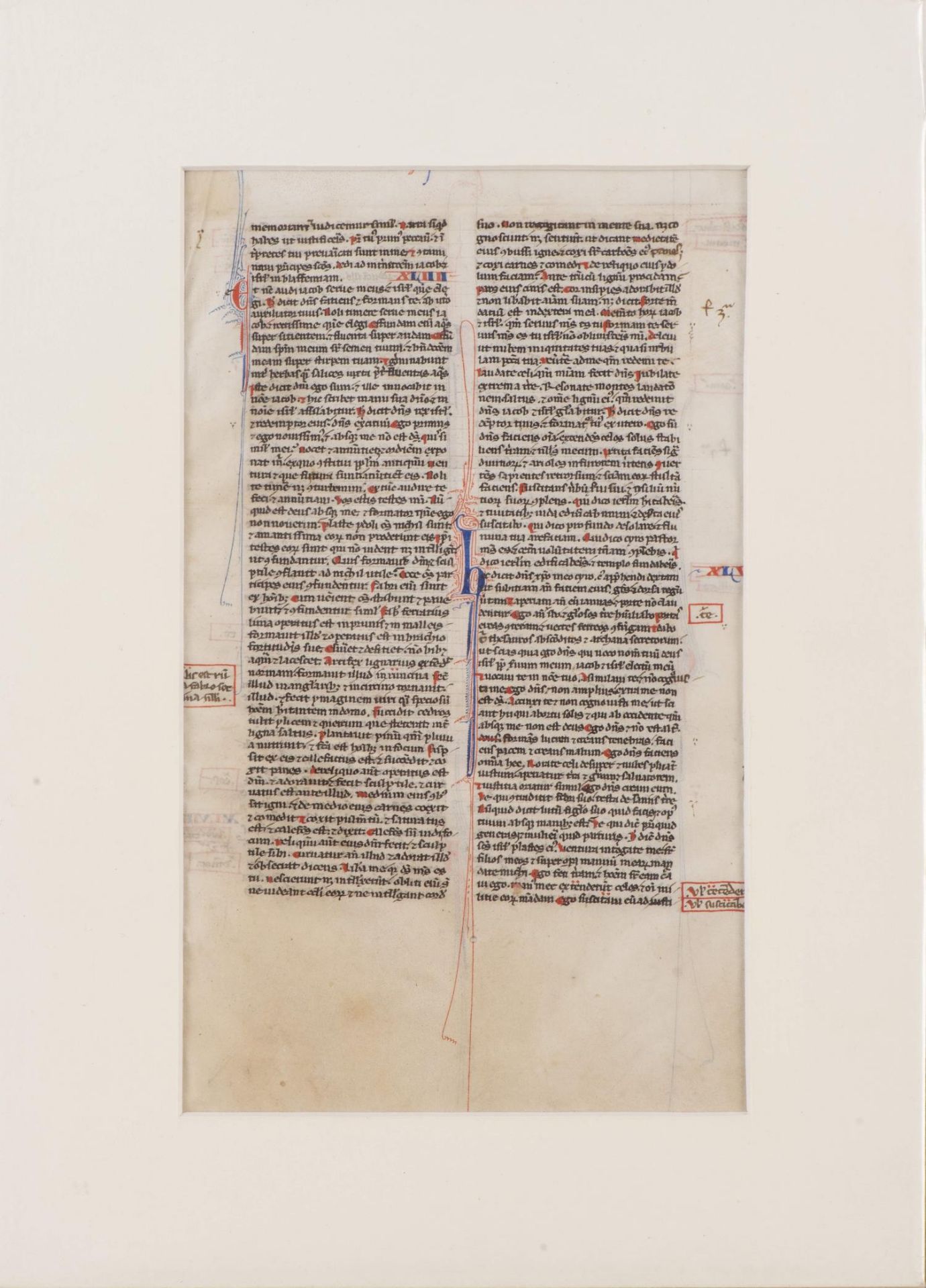 4 pages de la Biblia Latina, Nord de la France c. 1300 - Bild 4 aus 6