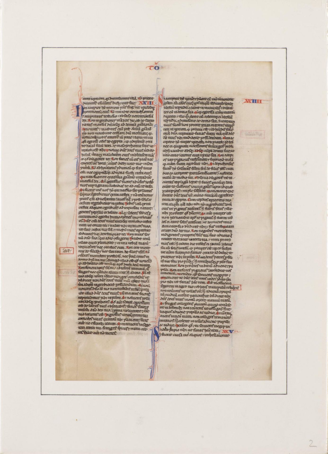 4 pages de la Biblia Latina, Nord de la France c. 1300 - Bild 5 aus 6