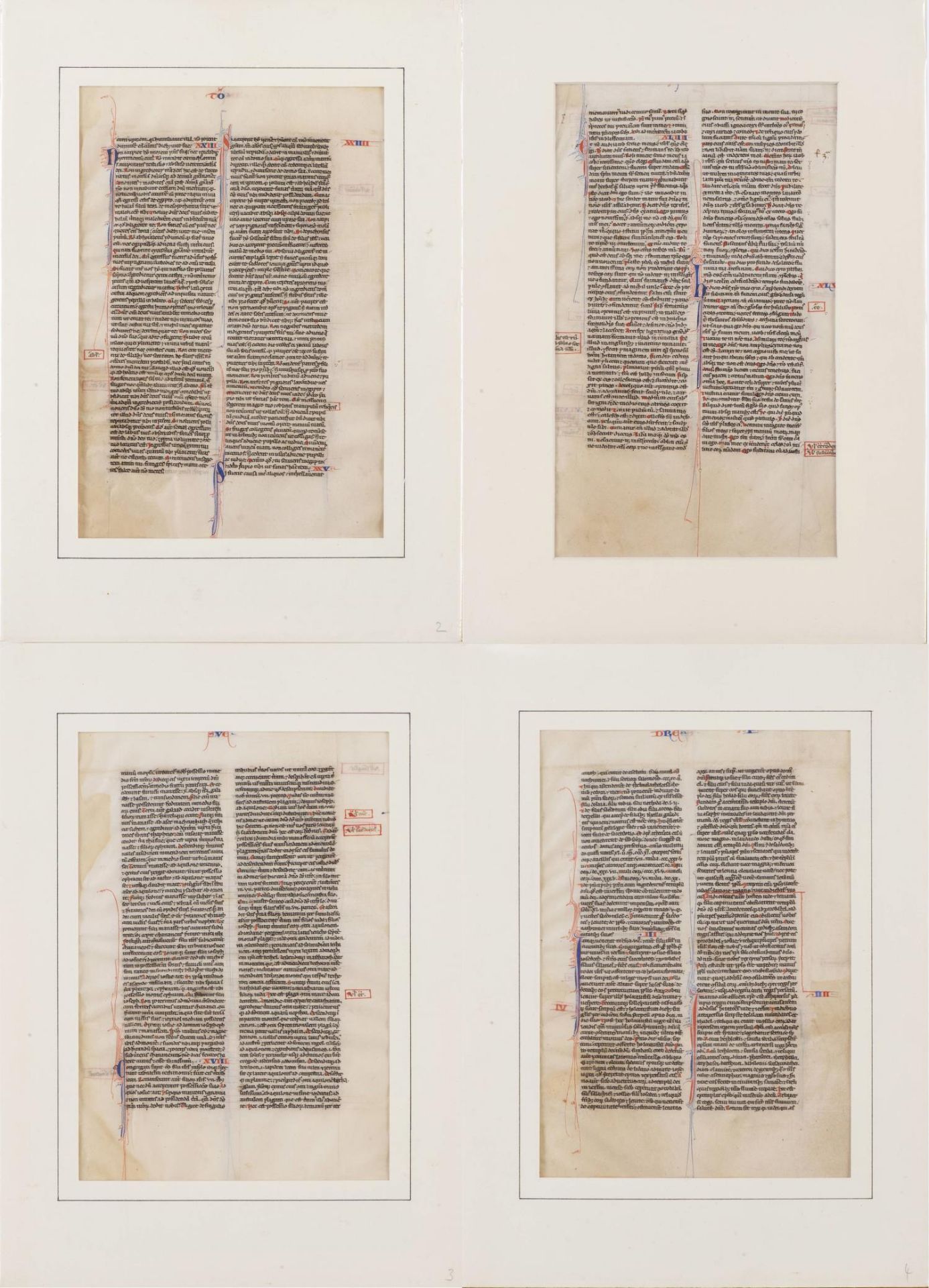 4 pages de la Biblia Latina, Nord de la France c. 1300