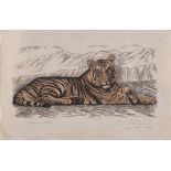 Jacques Hoffmann (actif 1930-1940), "Tigre du Bengale couché" - Jacques Hoffmann [...]