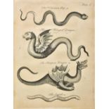 Owen (Charles). An Essay Towards a Natural History of Serpents, 1st edition, 1742, subscribers list,
